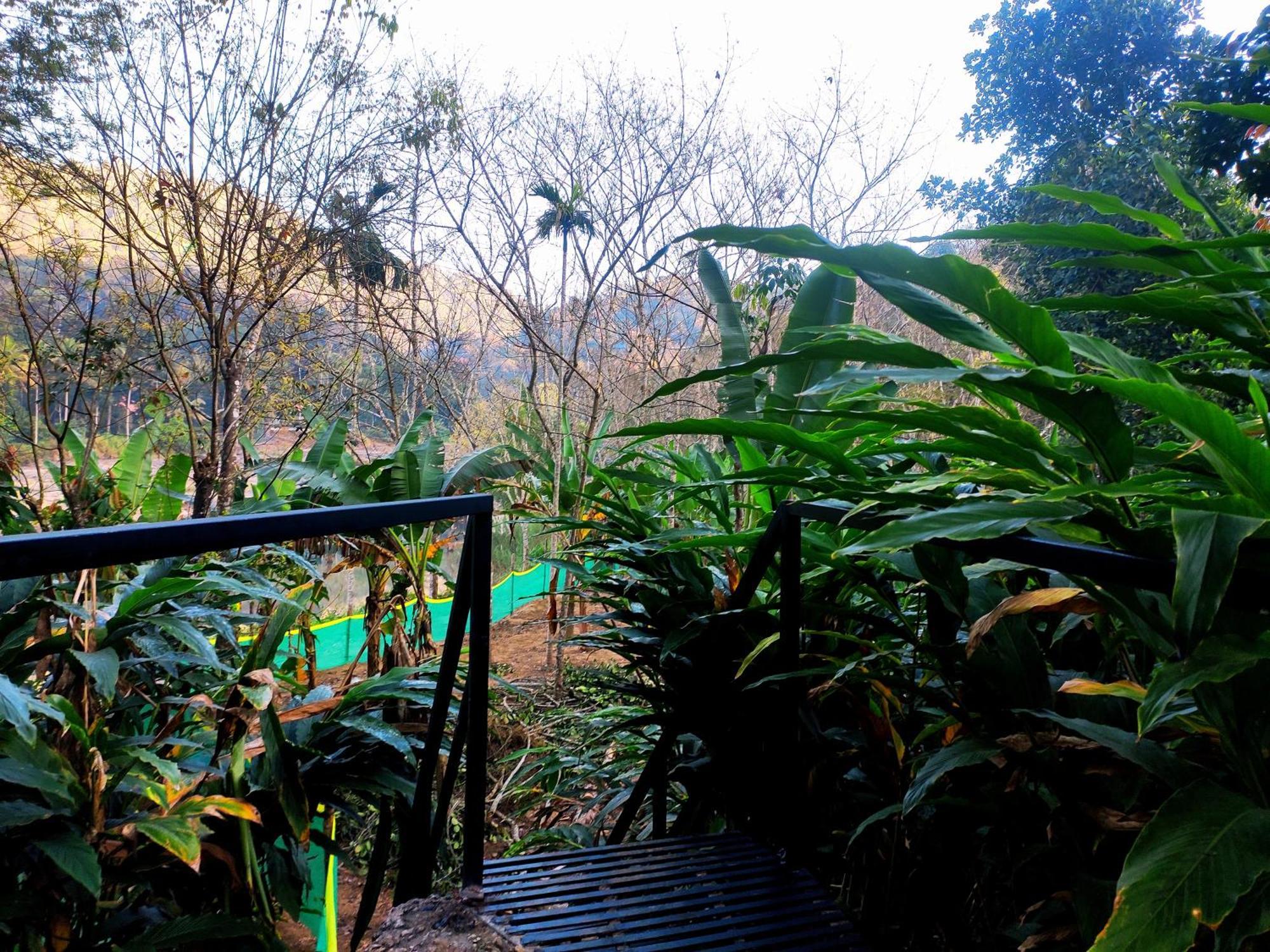 Mistey Valley Munnar Villa Anachal Exterior foto